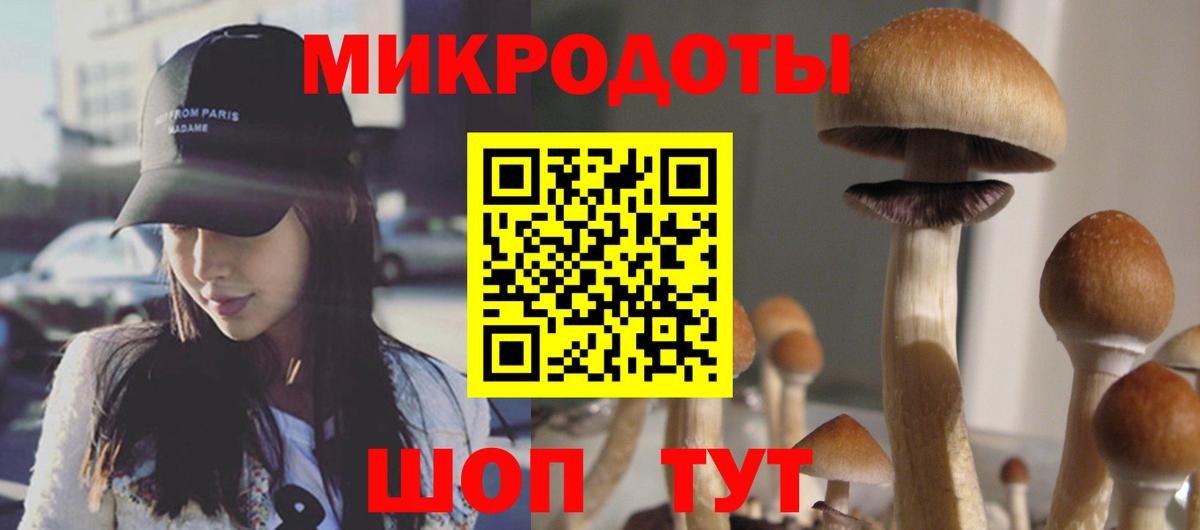 Псилоцибиновые грибы MAGIC MUSHROOMS  Вход с VPN  Ливны 